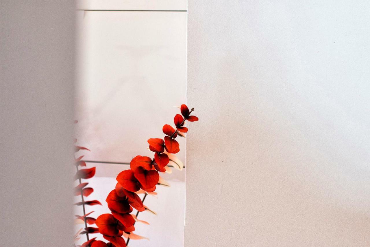 Tuguest Molinos Apartment グラナダ エクステリア 写真